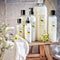 Lavants liquides