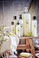 Lavants liquides