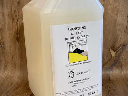 Shampoing liquide