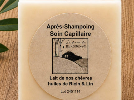 Soin capillaire solide