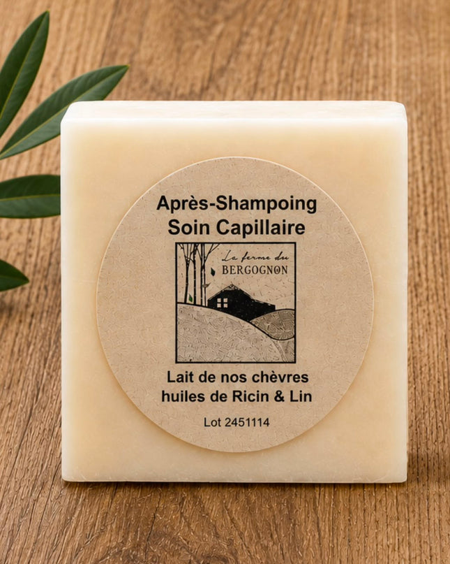 Soin capillaire solide