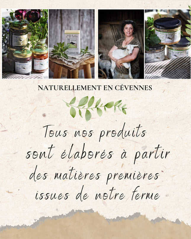 Pâté de campagne à l'Ail des ours