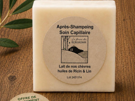 Soin capillaire solide